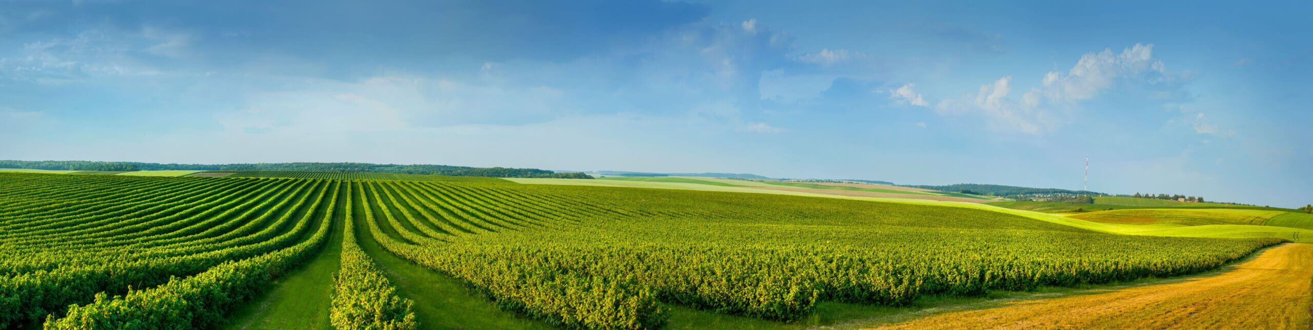 Rural Property Loans